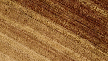 Fields landscape from Castile and León