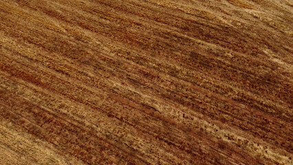 Fields landscape from Castile and León