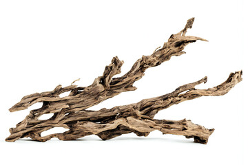 driftwood, old and dry branch isolated on white background