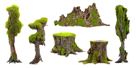overgrown tree stumps, collection of old stubs with moss and lichen, isolated on white background - obrazy, fototapety, plakaty