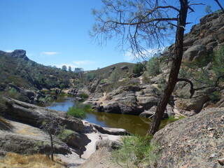 pond at Pinnacles National Park