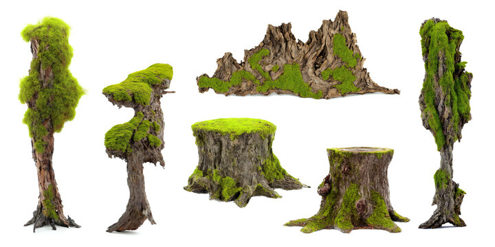 overgrown tree stumps, collection of old stubs with moss and lichen, isolated on white background