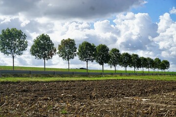 Landschaft Panorama mit braunem Ackerfeld, Straße, grüner Baumreihe und grünem Feld vor blauem Himmel mit grau-weißem Wolkengebilde bei Sonne am Mittag im Sommer