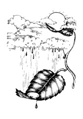 Raindrops from the sky. A Drop on a plant leaf. Line sketch vector illustration