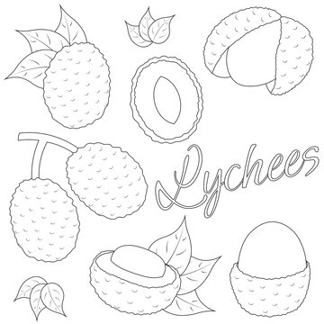 A set of painted exotic fruits - Lychee. Draw illustration in black and white