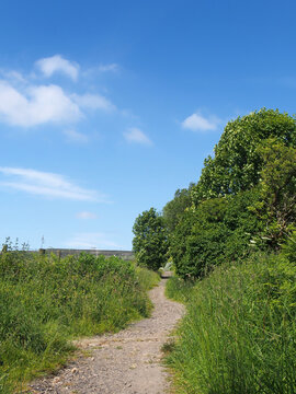 a narrow winding path through a sunlit meadow with tall grass with summer trees and a blue sky
