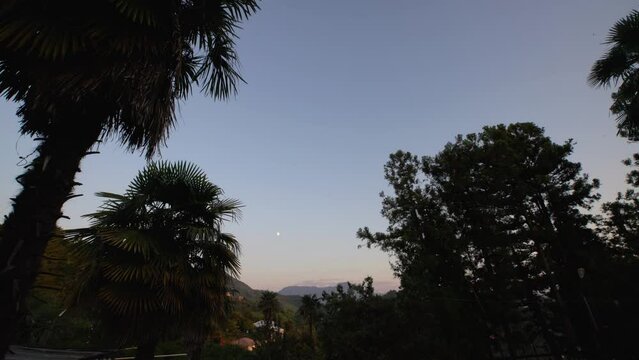 Sunset on the sea through the palm trees in the mountain village of Georgia. The rising moon is visible.
