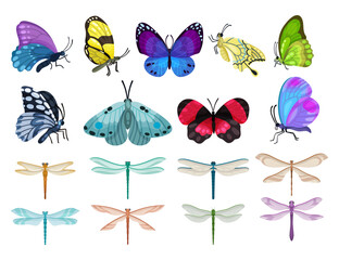 Multicolored Butterflies and Dragonfly with Wings as Flying Insect Big Vector Set