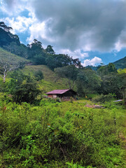Fototapeta na wymiar Paisaje de cabaña y naturaleza en Colombia / Landscape of house and nature in Colombia