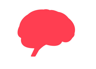 brain symbol on white background.
brain health idea concept.