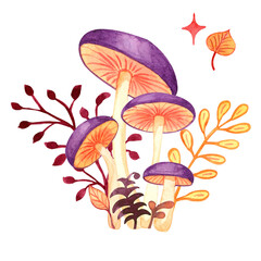 Watercolor  magic mushrooms with forests elements. Hand draw clip art isolated on transparent.