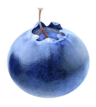 One blueberry fruit cut out