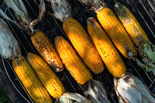 Corn On The Cob On Grill In Home Garden