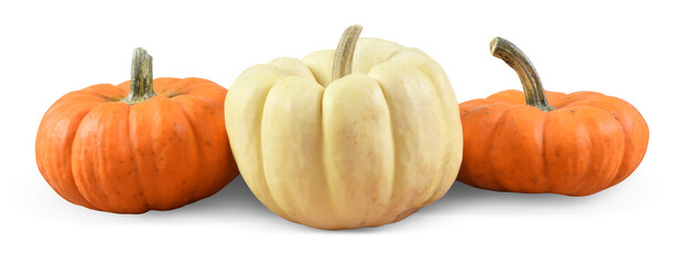 Orange and White Pumpkins Isolated from the Background