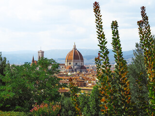 Obraz premium florence