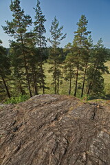 View of the Karelian forests from the top of a rocky mountain.