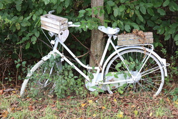 Fototapeta na wymiar Altes verrostetes Fahrrad. Damenrad.