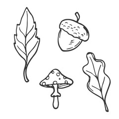 Hello Autumn. Autumn harvest symbols. Set of autumn elements: leaves, mushrooms, acorns. Hand-drawn, sketch. Vector illustration in doodle style.