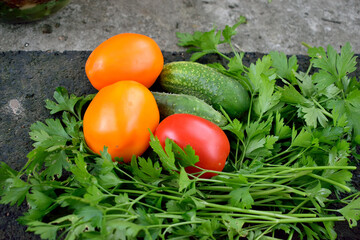 tomatoes and cucumbers with parsley, closeup as texture for background