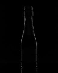 bottle of champagne