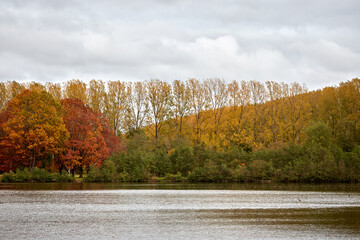 Blaarmeersen lake during the fall in Ghent