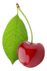 One sweet cherry with leaf cut out