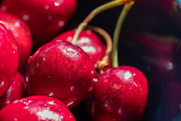 macro background of bright red delicious cherries with water drops. space for your text. background for quotes