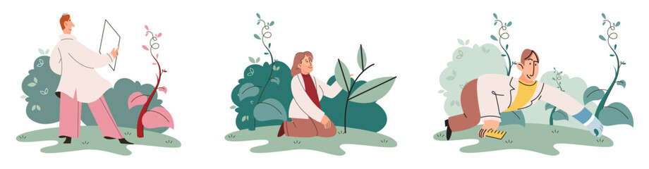 Scientist explores vegetable life and plants in nature. Biologists in forest studying biological species and environment. Explorer conducts experiments takes care of ecology and endangered green herb