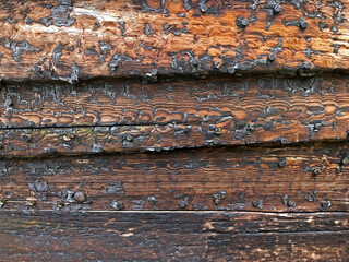 Old weathered boards with traces of resin