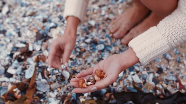 Hands, woman, and beach sea shell collection during summer vacation. Female tourist, explorer collecting different objects on the ocean floor, sand or shore on a tropical holiday destination