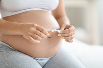 Cropped photo of pregnant woman breaking cigarette, copy space