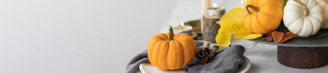 Idea for a beautiful autumn setting for thanksgiving family dinner or wedding. Orange pumpkin as decor. Cozy fall home atmosphere. Banner copy space for text