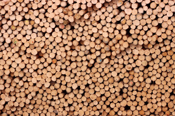 entrindete Baumstämme in einem Rundholzlager