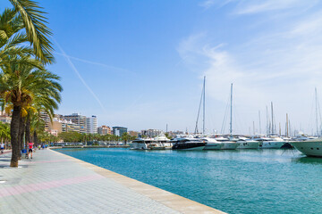 Fototapeta na wymiar Panorama skyline view Palma Mallorca marina promenade Avinguda de Gabriel Roca.