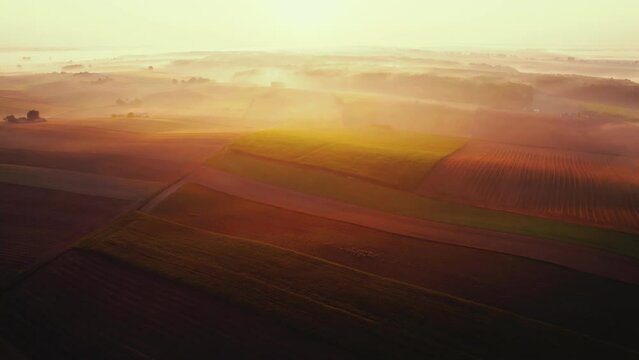 Thick fog spreading over forest and farm fields during colorful sunrise. Orange glare. Landcape of Roztocze Poland. Horizontal shot. High quality 4k footage