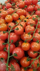 Beautiful red ripe cherry tomatoes grown in a greenhouse