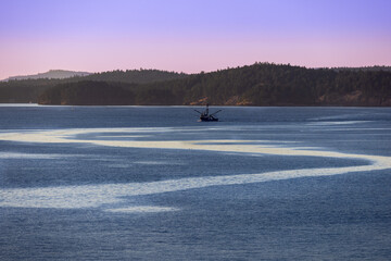 Fishing boat in the Salish Sea at sunset.