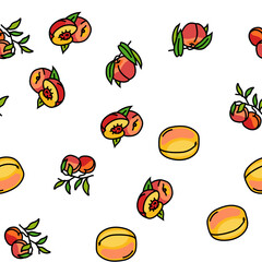 peach fruit nectarine juicy vector seamless pattern thin line illustration