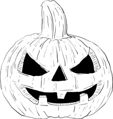 pumpkin on holiday theme hand drawn vector 5