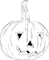 pumpkin on holiday theme hand drawn vector 3