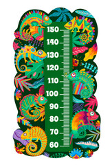 Mexican chameleon lizards on kids height chart. Child growth meter scale with color chameleons, lizard exotic animal, tropical palm plant leaves and flowers ornaments