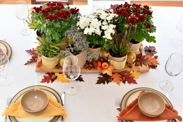 Fall autumn harvest dining table decor for Thanksgiving holiday family dinners, rustic, simplicity table centerpiece background decorations