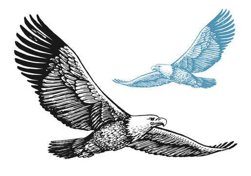 Share 221+ soaring eagle tattoo