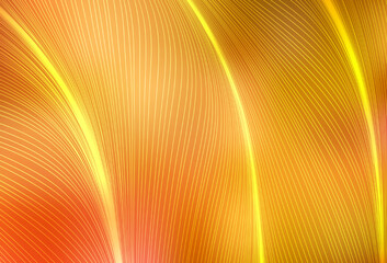 Light Orange vector texture with bent lines.