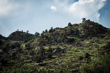 Fototapeta na wymiar rocky hill with trees - Colorado