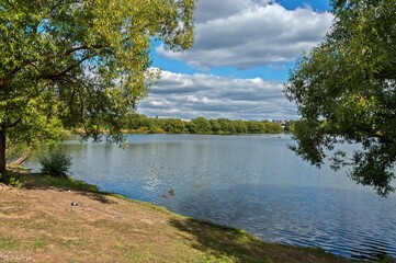 Fototapeta premium On the shore of the lake