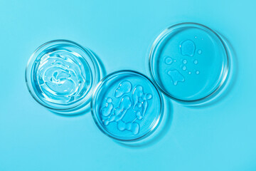 Petri dishes with liquids on light blue background, flat lay - obrazy, fototapety, plakaty