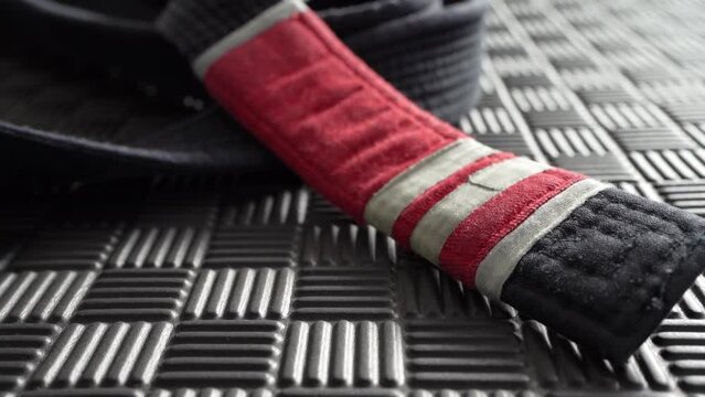 brazilian jiu jitsu bjj concept training martial arts combat sport