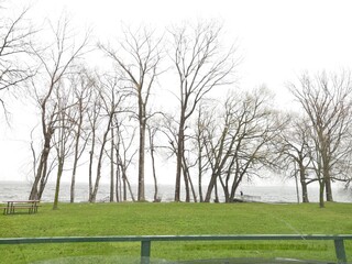 Sky, trees and cloud