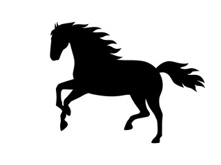 Fototapeta na wymiar Silhouette of a running horse